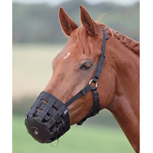 Nylon Grazing Muzzle - Blk