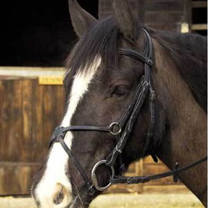 Rhinegold Comfort Grakle Bridle