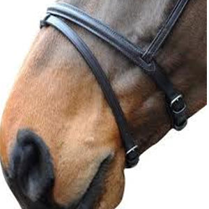 SFS Raised Flash Noseband - XL - Brown