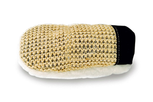 Cactus Mitt (C)