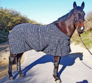 Waffle Weave Rug