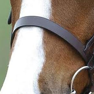 Collegiate Cavesson Noseband - Pony - Brown
