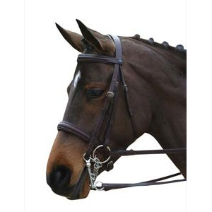 Collegiate Padded Double Bridle