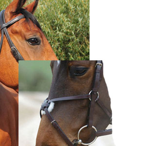 Elevator Mexican Grakle Bridle (No Reins) - Cob - Brown