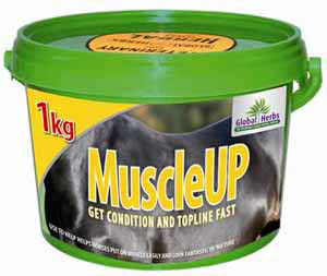 Global Herbs Muscle Up