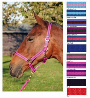 JHL Nylon Headcollar 