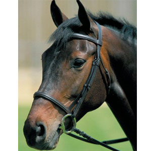 Kincade Raised Cavesson Noseband - Shetland - Brown