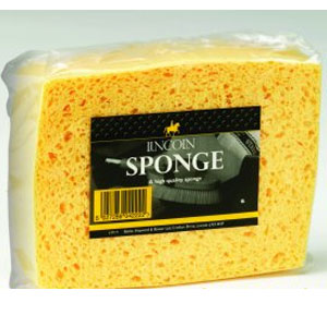 Lincoln Sponge (4222)