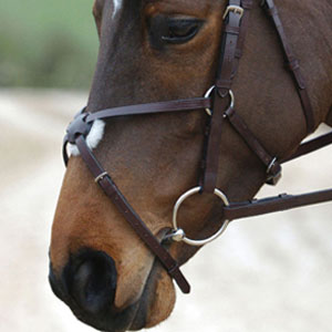 Mexican Grakle Bridle (No Reins) - Cob - Brown