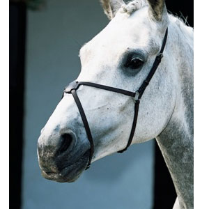 Mexican Grakle Noseband