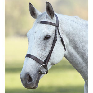 Plain Cavesson Bridle (No Reins)