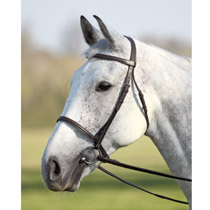 Raised Cavesson Bridle (No Reins)