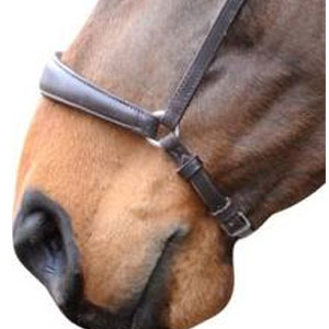 Raised Drop Noseband - Cob - Black