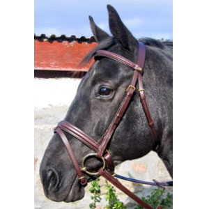 Stubben CTD Padded Flash Bridle (With RG Reins)