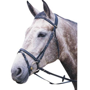 Wintec Flash Bridle (No Reins) - Cob - Brown